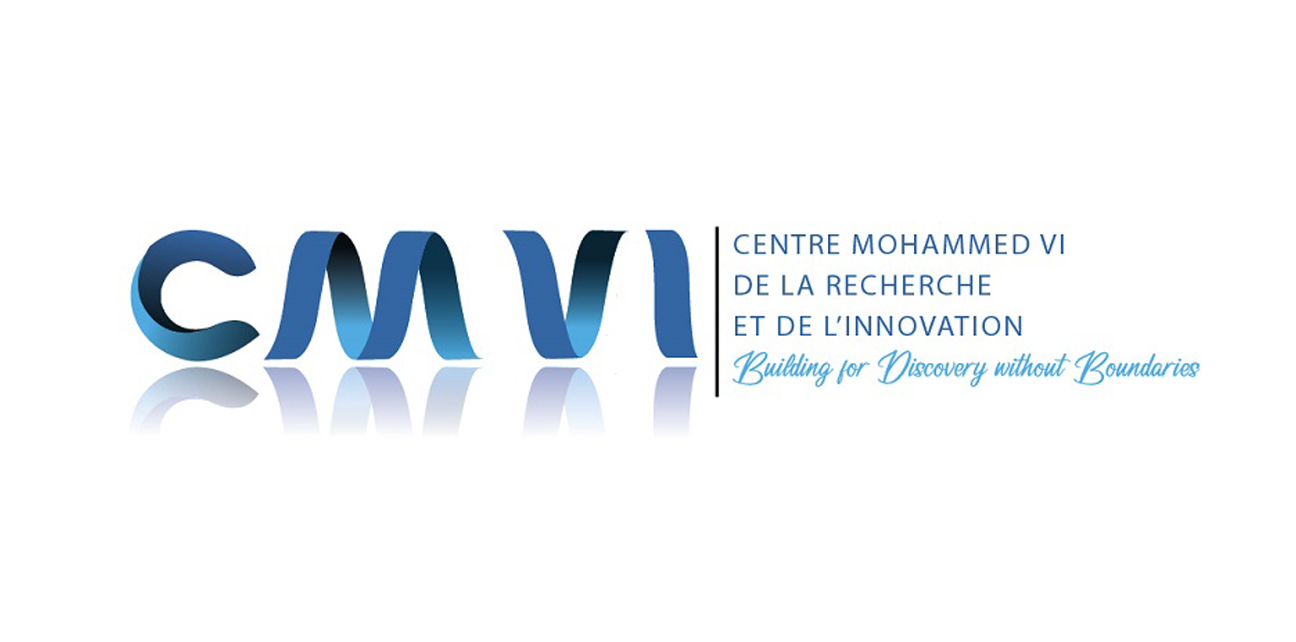 BMVI